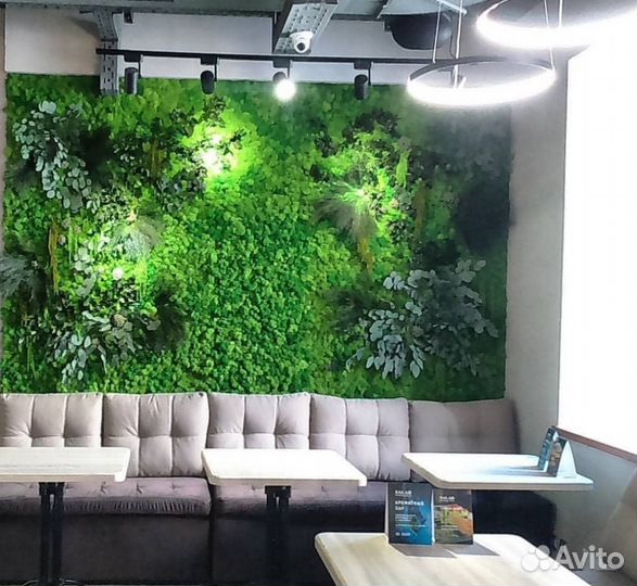 Озеленение интерьеров. Фитокартины