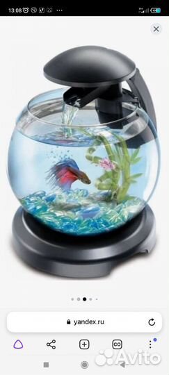 Аквариум