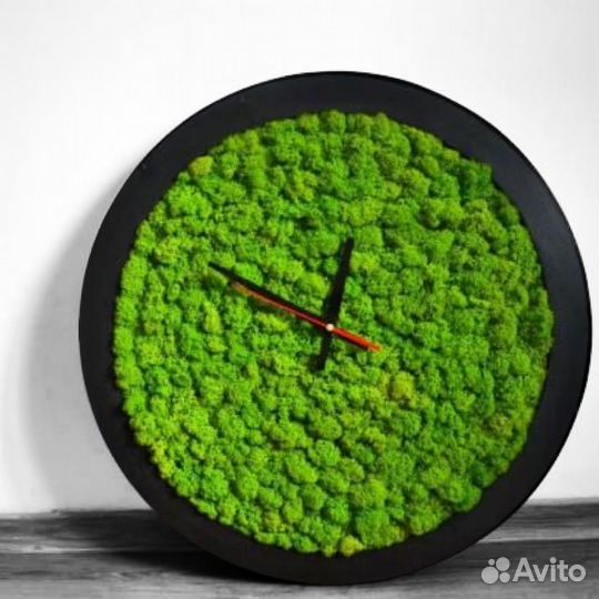 Композиции из мха на заказ