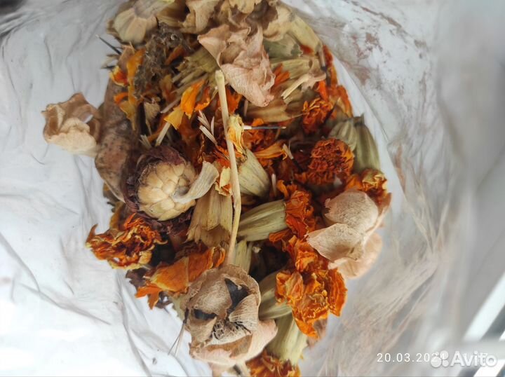 Семена пакет