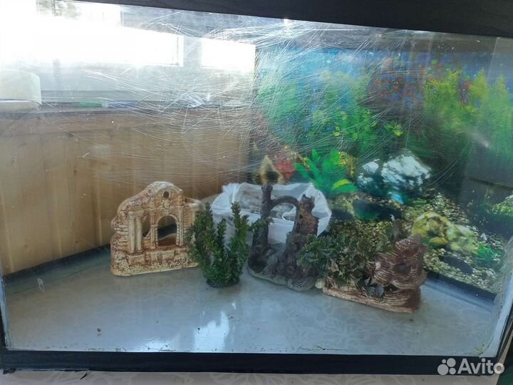 Аквариум 200 литров с тумбой
