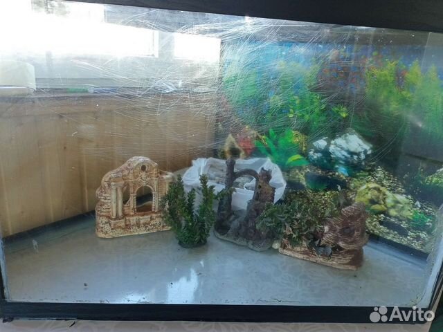 Аквариум 200 литров с тумбой