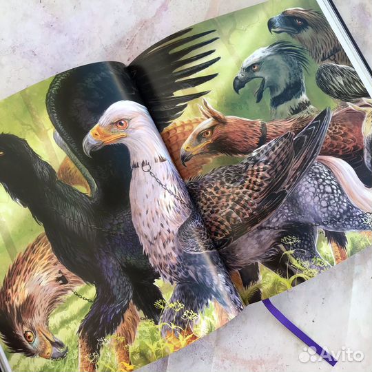 Книга Harry Potter and the Prisoner of Azkaban