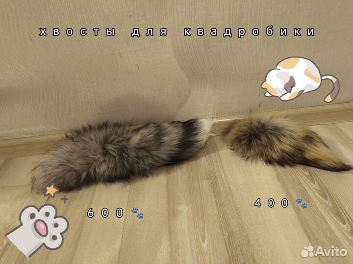 Вещи для квадробики