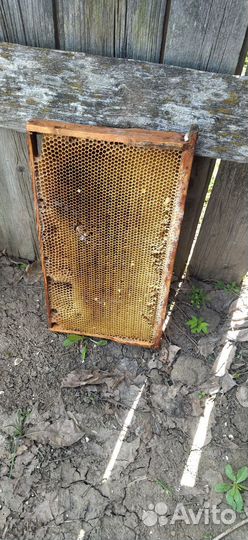 Рамки с сушью