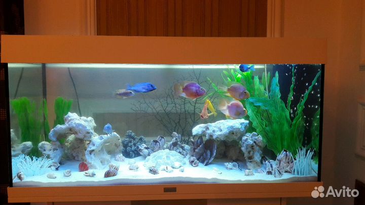 Чистка аквариума