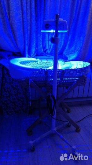 Аренда лампы для фототерапии. Билитест