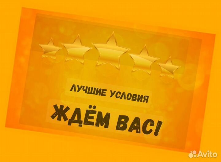 Сортировщик Еженедельный аванс Спецодежда М/Ж