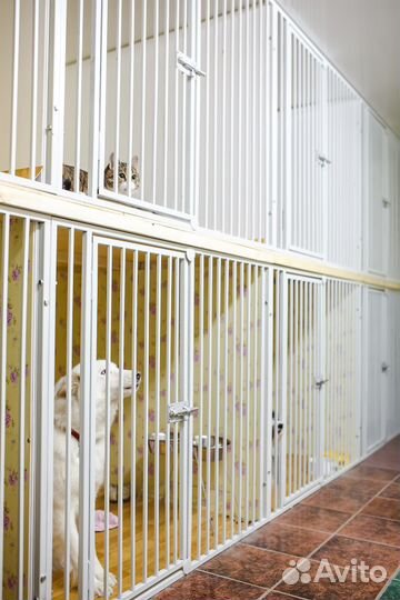 Гостиница для животных 