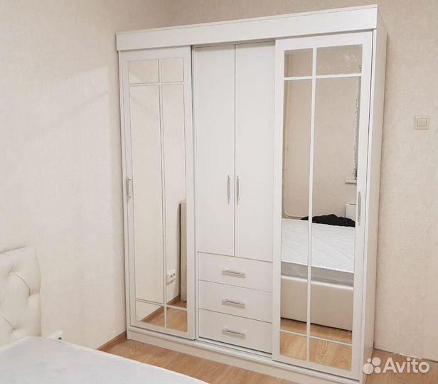 Шкаф-купе Маэстро 170х220х59