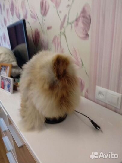 Шапка меховая новая