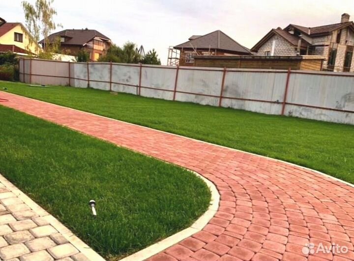 Рулонный газон 
