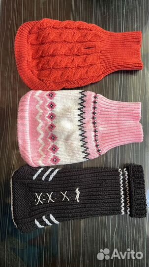 Одежда для сфинкса котят и собак