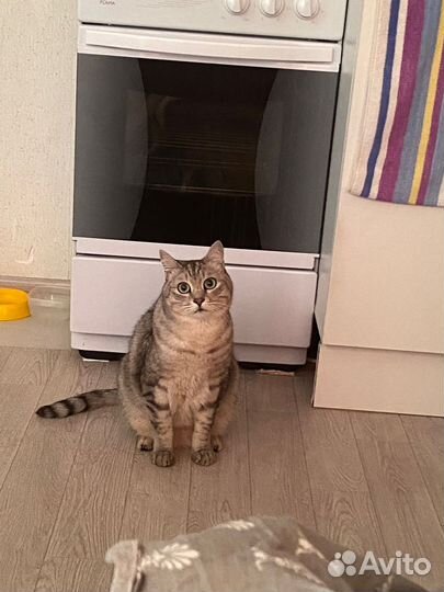 12 лет и стал не нужен