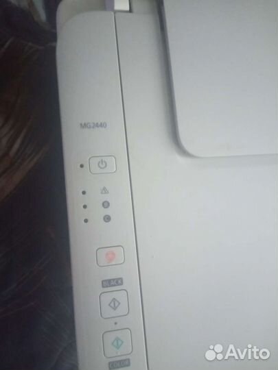 Принтер MG2440