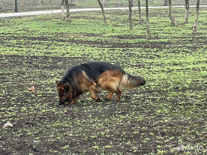 Вязка кабель