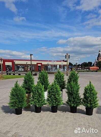 Туя Искусственная