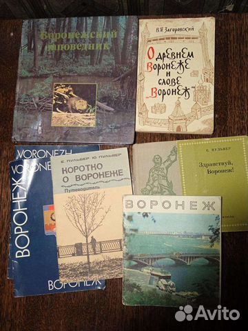 Книги брошюры путеводители по Воронежу