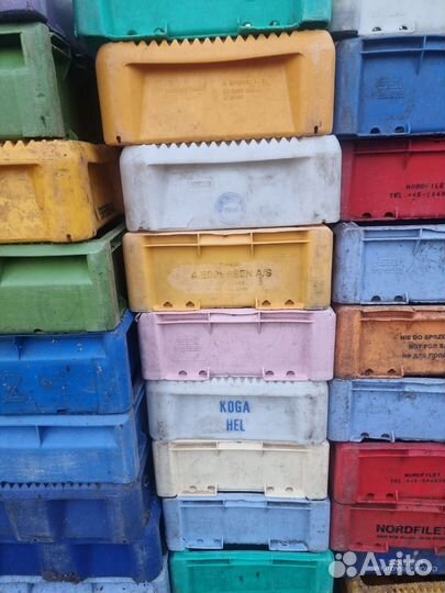 Ящик польский, датский для рыбы