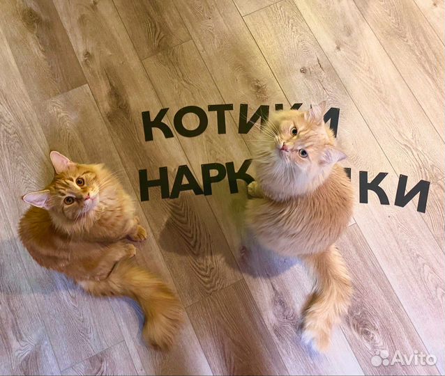 Растяжка-гирлянда