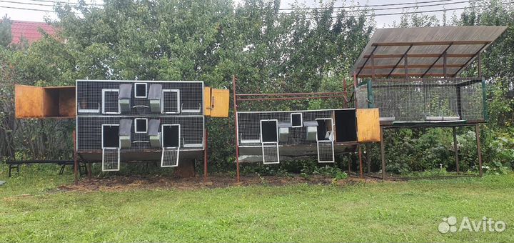 Клетки для кроликов