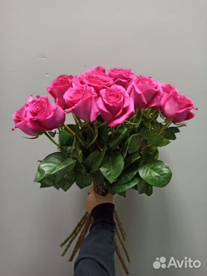 Роза 60см (Эквадор)