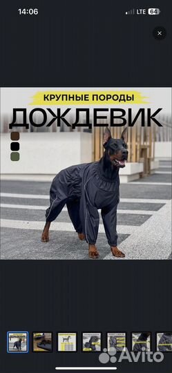 Дождевик для крупной собаки