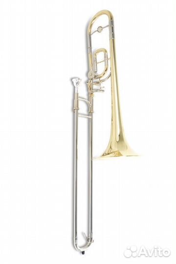 Детский тромбон Roy Benson TT-220