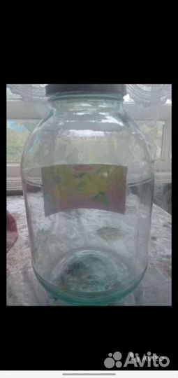 Банка стеклянная 0.5, 1, 1.7, 3 литра