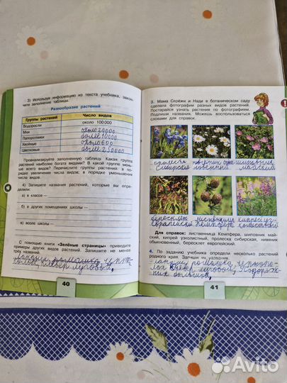 Окружающий мир 3 класс Школа России