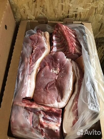 Мясо свинина