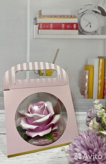 Роза в куполе