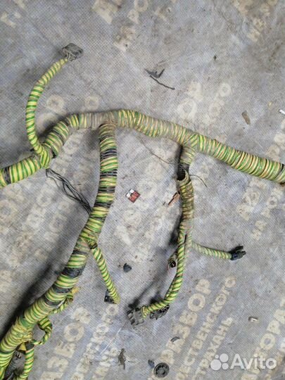 Проводка подкапотная Daewoo Nexia седан F16D3 2008