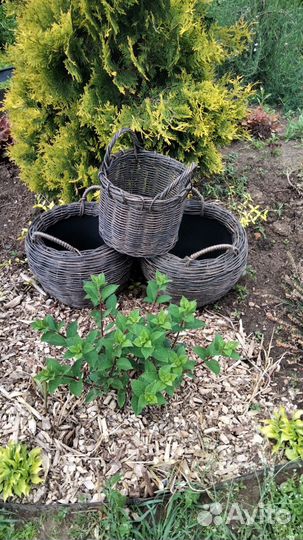 Кашпо корзинки для дома и сада