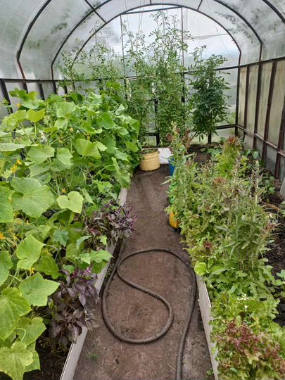 Дача 20 м² на участке 4 сот.