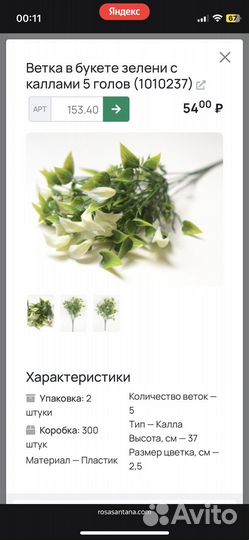 Зелень для творчества