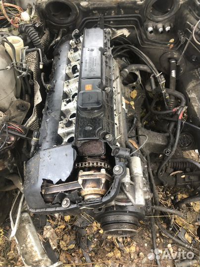 Двигатель M52B25 Bmw 523i E39