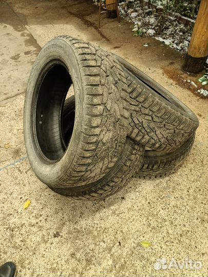 Nokian Tyres Nordman 7 205/55 R16