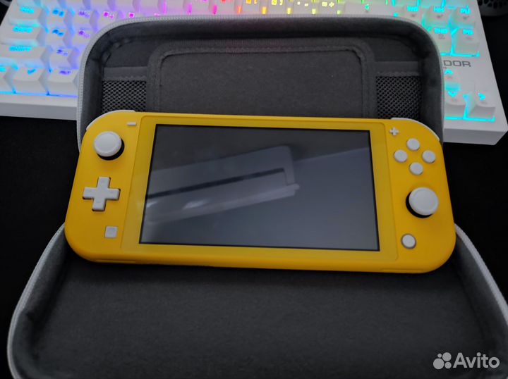 Nintendo switch lite