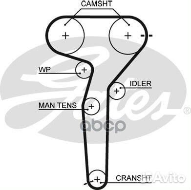 40831x24 Ремень грм;fiat bravo