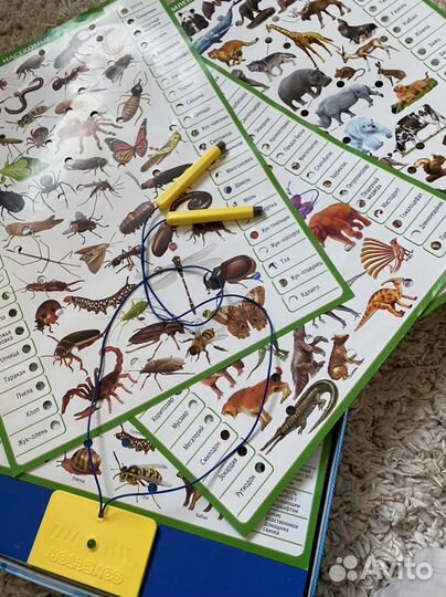 Игра для детей животный мир Conector