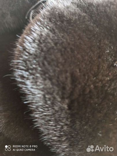 Мужская норковая шапка