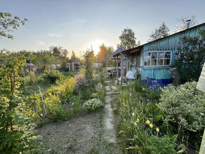 Дача 30 м² на участке 14 сот.