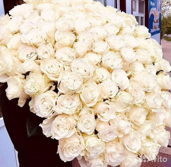 Букет роз 101 роза 51 роза