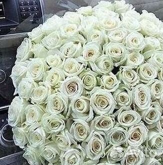 Высокие розы 150 160 170 180 190см доставка Москва