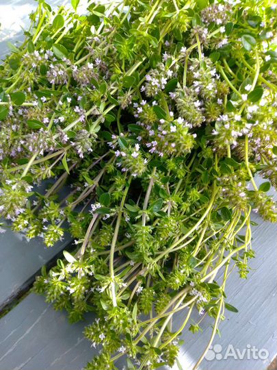 Лекарственные травы