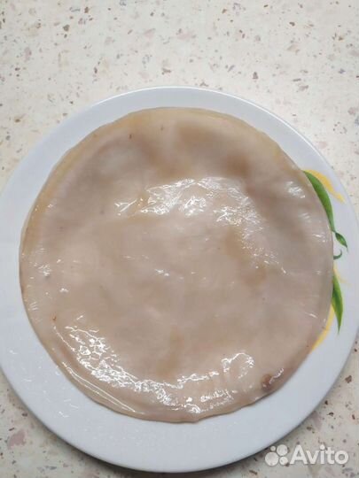 Чайный гриб - Комбуча