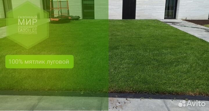 Рулонный газон