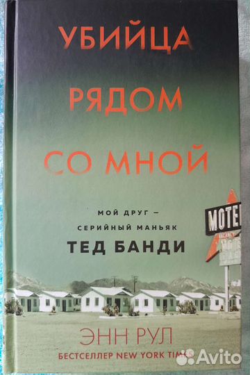Убийца рядом со мной (детектив, триллер), Энн Рул
