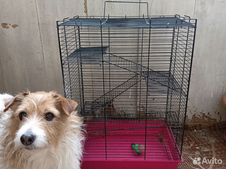Большая клетка для крыс